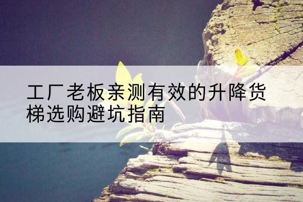 凤翔升降货梯怎么选-工厂老板亲测有效的升降货梯选购避坑指南