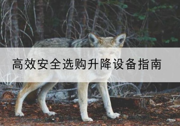 凤翔升降货梯厂家推荐-*安全选购升降设备指南