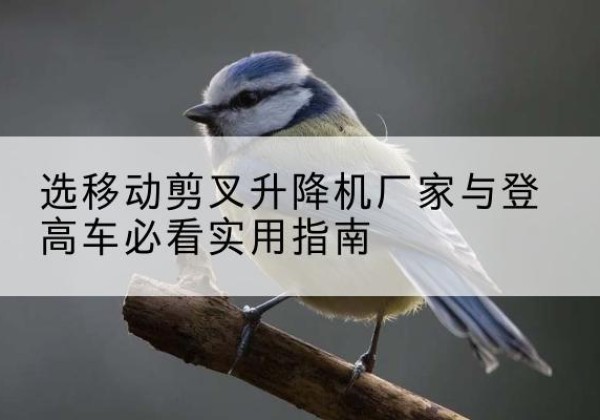 凤翔电动升降机厂家-选移动剪叉升降机厂家与登高车必看实用指南