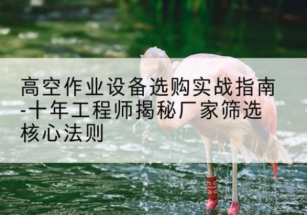 凤翔剪叉式升降机厂家-高空作业设备选购实战指南-十年工程师揭秘厂家筛选核心法则